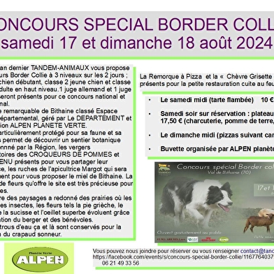 Concours spécial Border Collie