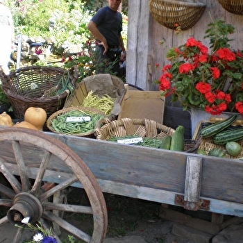 Les Jardins en Terrasses et Accrobranche - PLOMBIERES-LES-BAINS