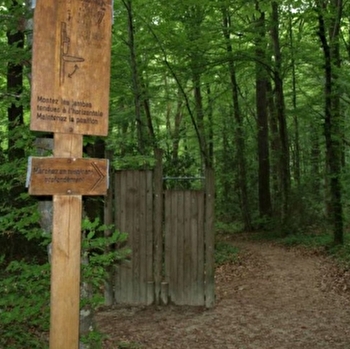 Parcours de santé à Châtenois - CHATENOIS