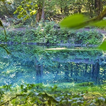 Visite guidée : Les mystères d’Anjeux - ANJEUX