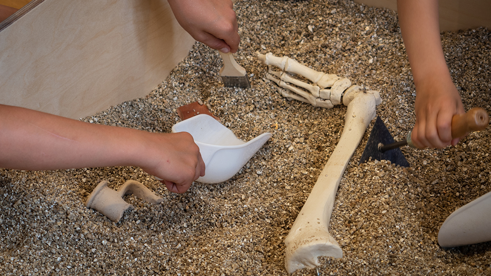 Visite de l'Ecclesia et atelier de fouille archéologique - Enfants