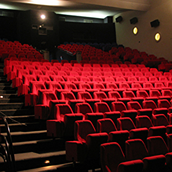 Cinéma et Salle de spectacle - Espace Molière - LUXEUIL-LES-BAINS