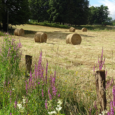 Ferme du Pâquis