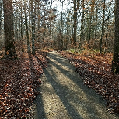 Parcours de santé à St Sauveur